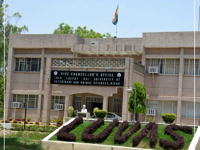 Luvas University, Hisar